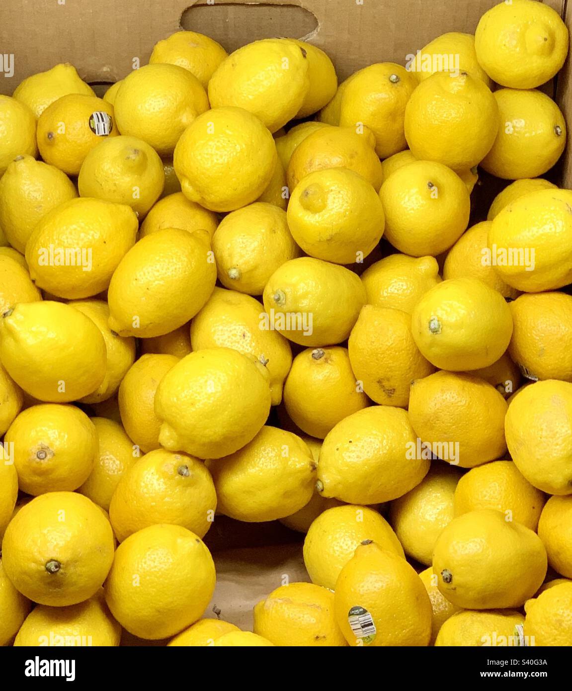 Limoni all'interno della scatola - Immagine stock catturata con smartphone