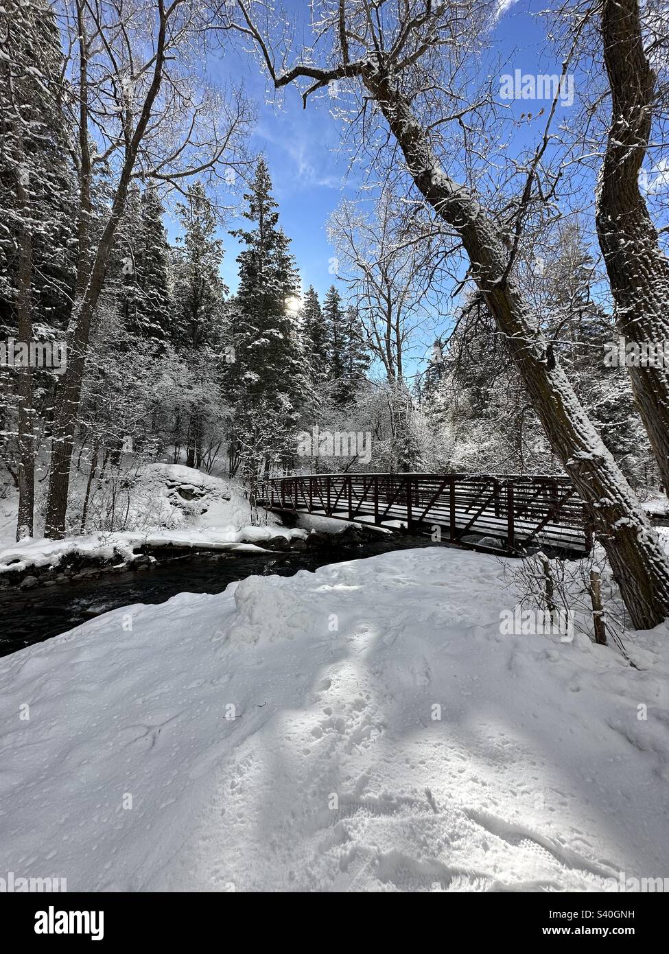 Ponte in un paese delle meraviglie d'inverno Foto Stock