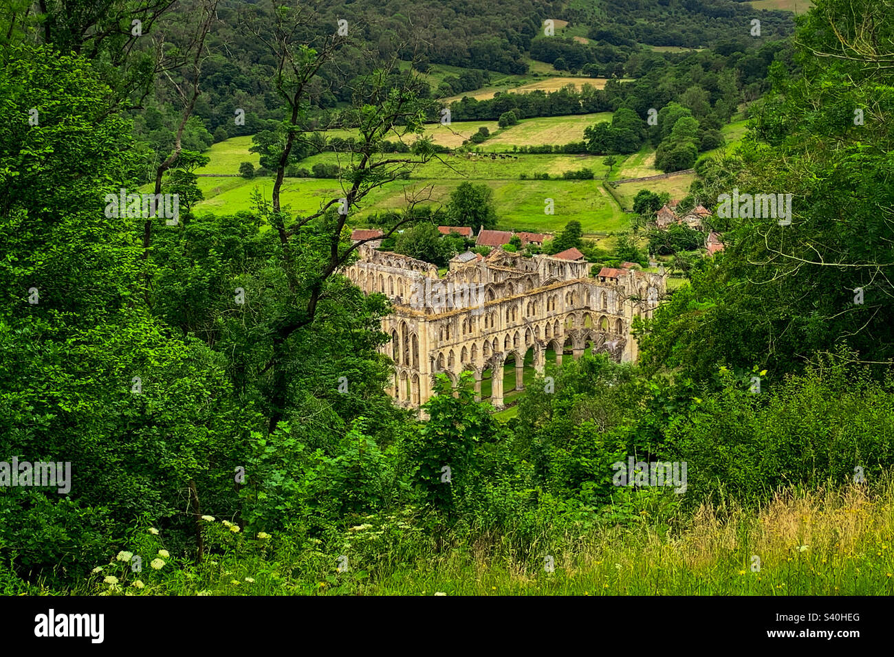 Guardando giù attraverso uno spazio tra gli alberi, le imponenti rovine della storica Abbazia di Rievaulx, Yorkshire, Regno Unito - Immagine stock catturata con smartphone