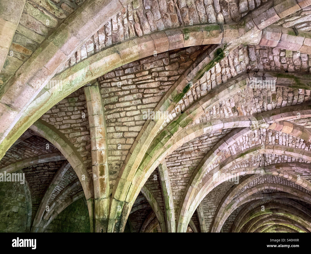 Lo storico cellarium a volta presso Fountains Abbey, Yorkshire, Regno Unito - Immagine stock catturata con smartphone