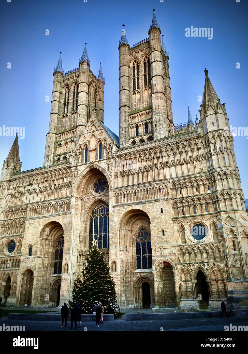 Cattedrale di Lincoln di notte ripresa esterna con un albero di Natale Lincoln Lincolnshire Inghilterra Regno Unito GB Europa Foto Stock