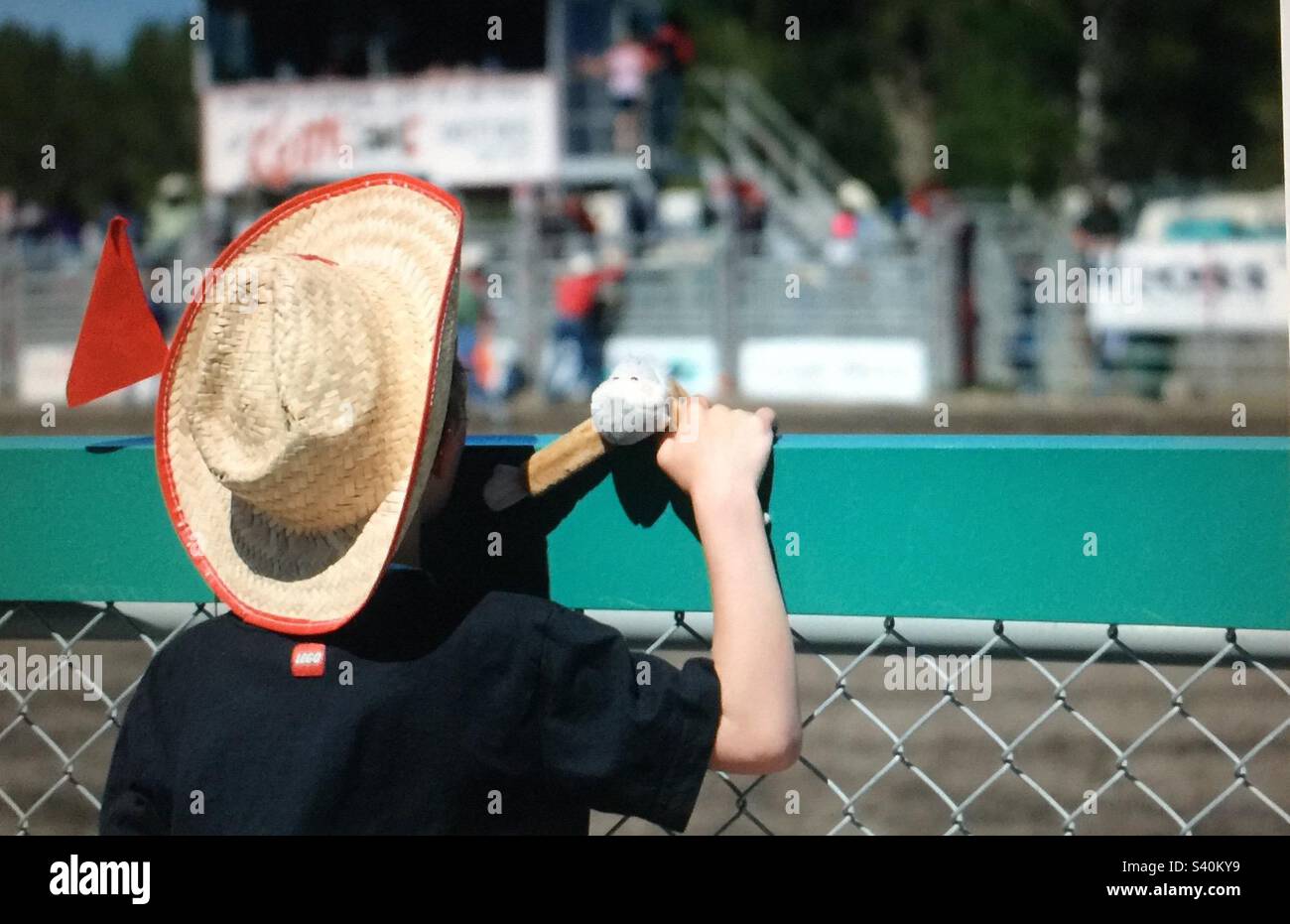 Ragazzino, al rodeo, recinzione a catena, cappello da cowboy, Foto Stock