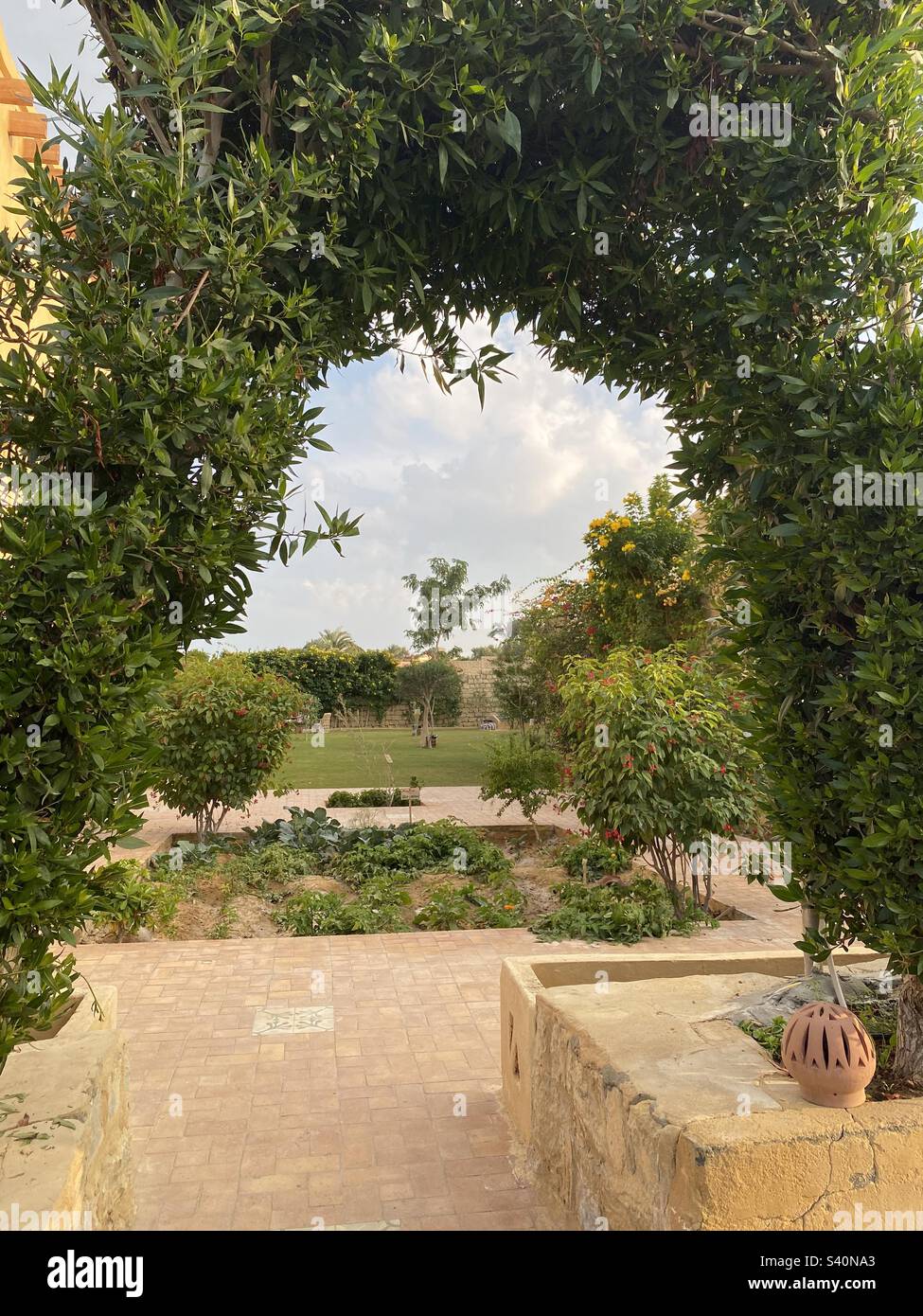 Bellissimo giardino - Immagine stock catturata con smartphone