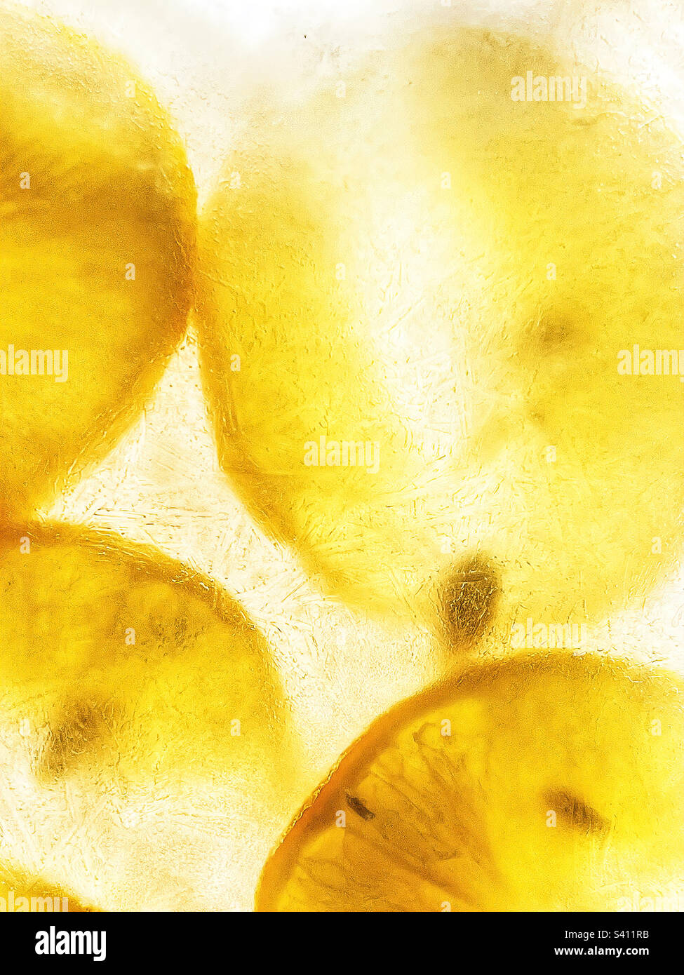 Estratto di limoni congelati in ghiaccio. Foto Stock