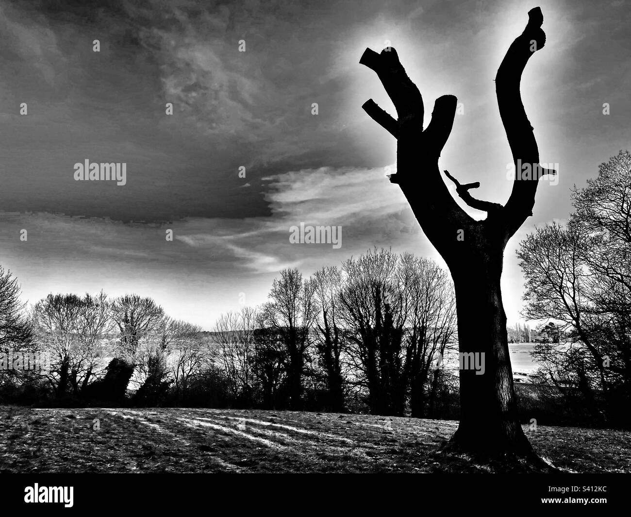 Kyston Hill Woodbridge Suffolk Inghilterra - Immagine stock catturata con smartphone