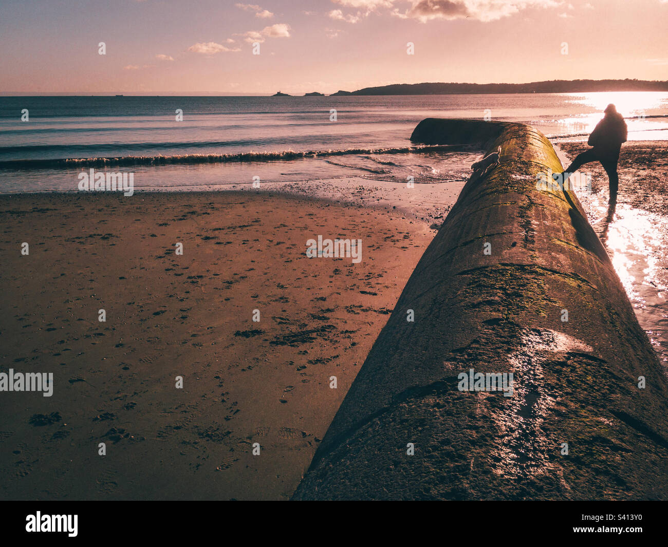 Silhouette di uomo appoggiato su tubo di cemento con un cane sulla baia di Swansea Foto Stock