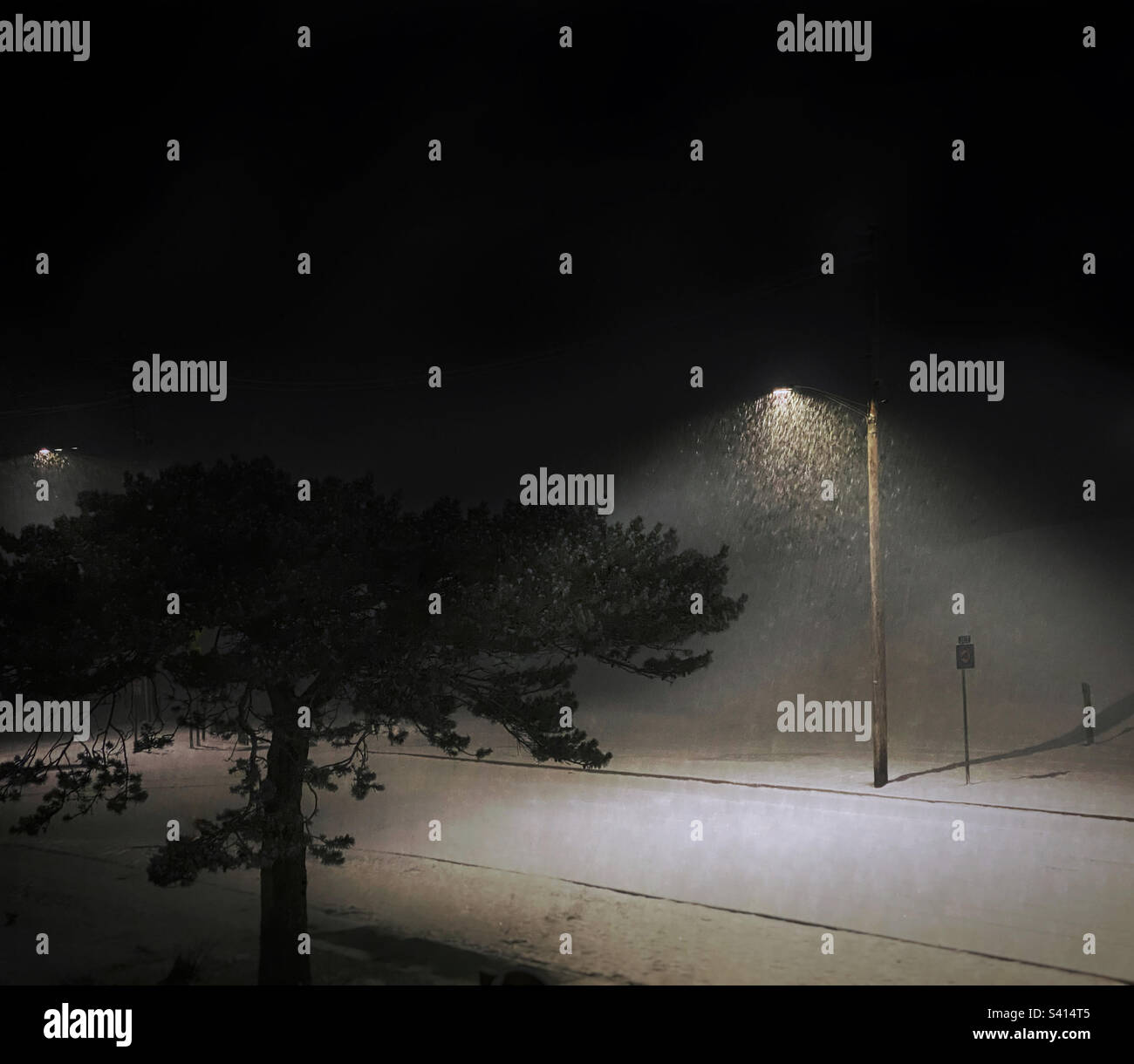 La neve cade in coni di luce sotto i lampioni in una tranquilla notte d'inverno Foto Stock