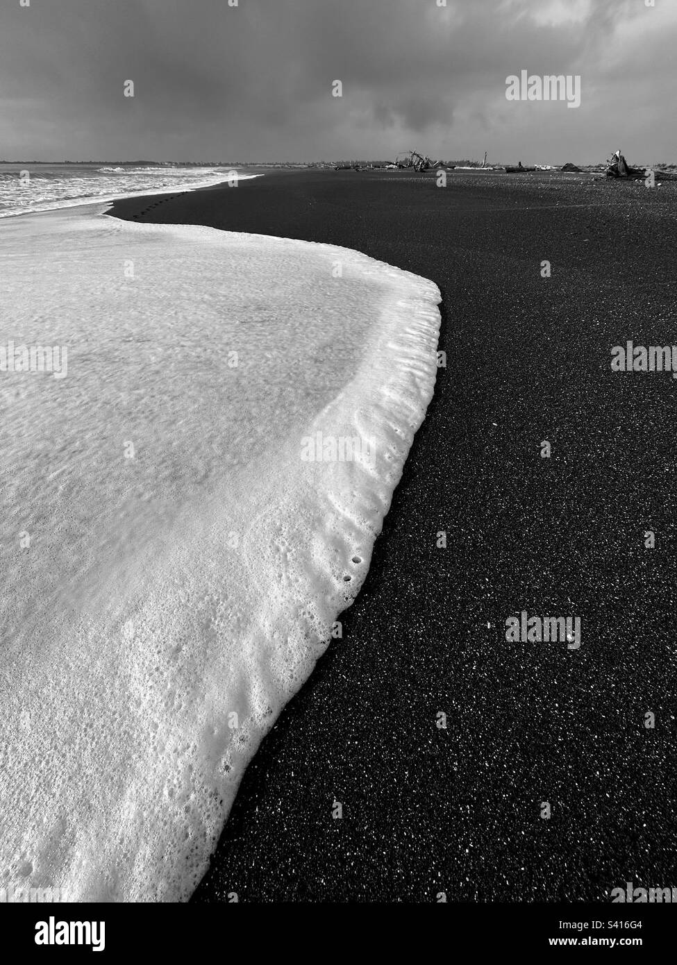 Coperta di schiuma - Ocean Shores WA - USA Foto Stock