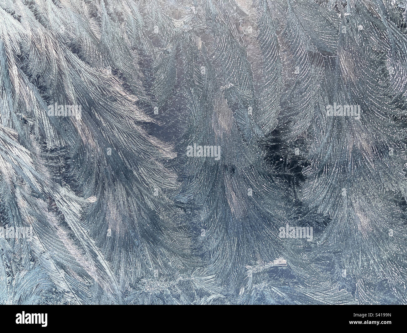 Sfondo astratto, struttura naturale di ghiaccio e gelo sul vetro del parabrezza Foto Stock