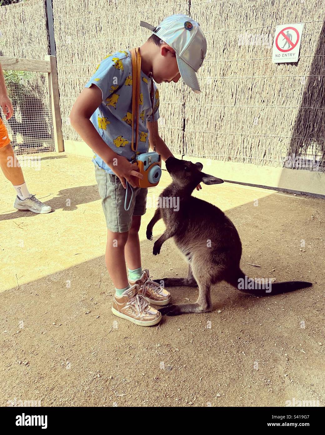 Ragazzo e un wallaby allo zoo Foto Stock