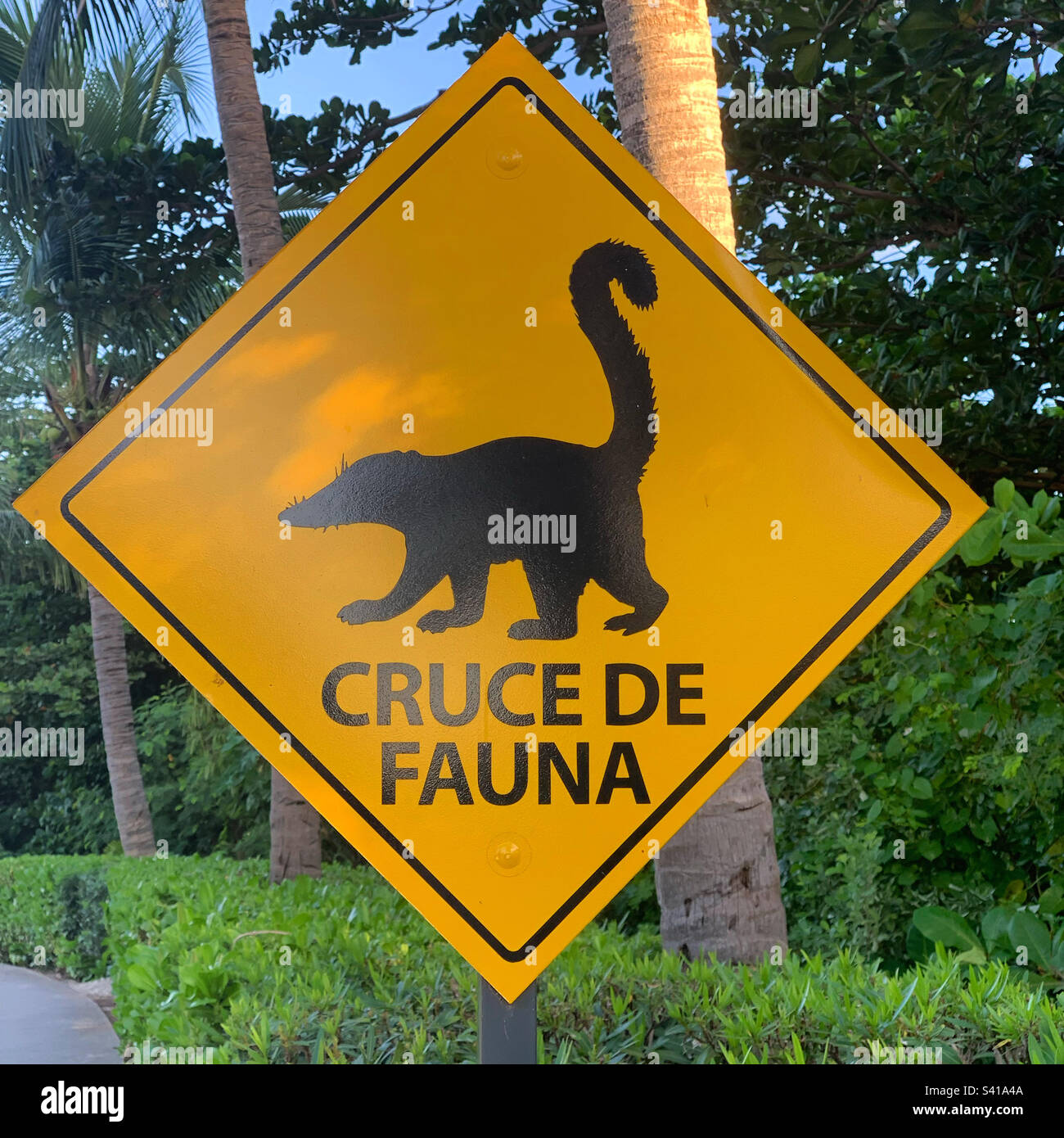 Novembre 2022, “Cruce De Fauna”=“Wildlife Crossing”, Cancun, Quintana Roo, Penisola dello Yucatan, Messico Foto Stock