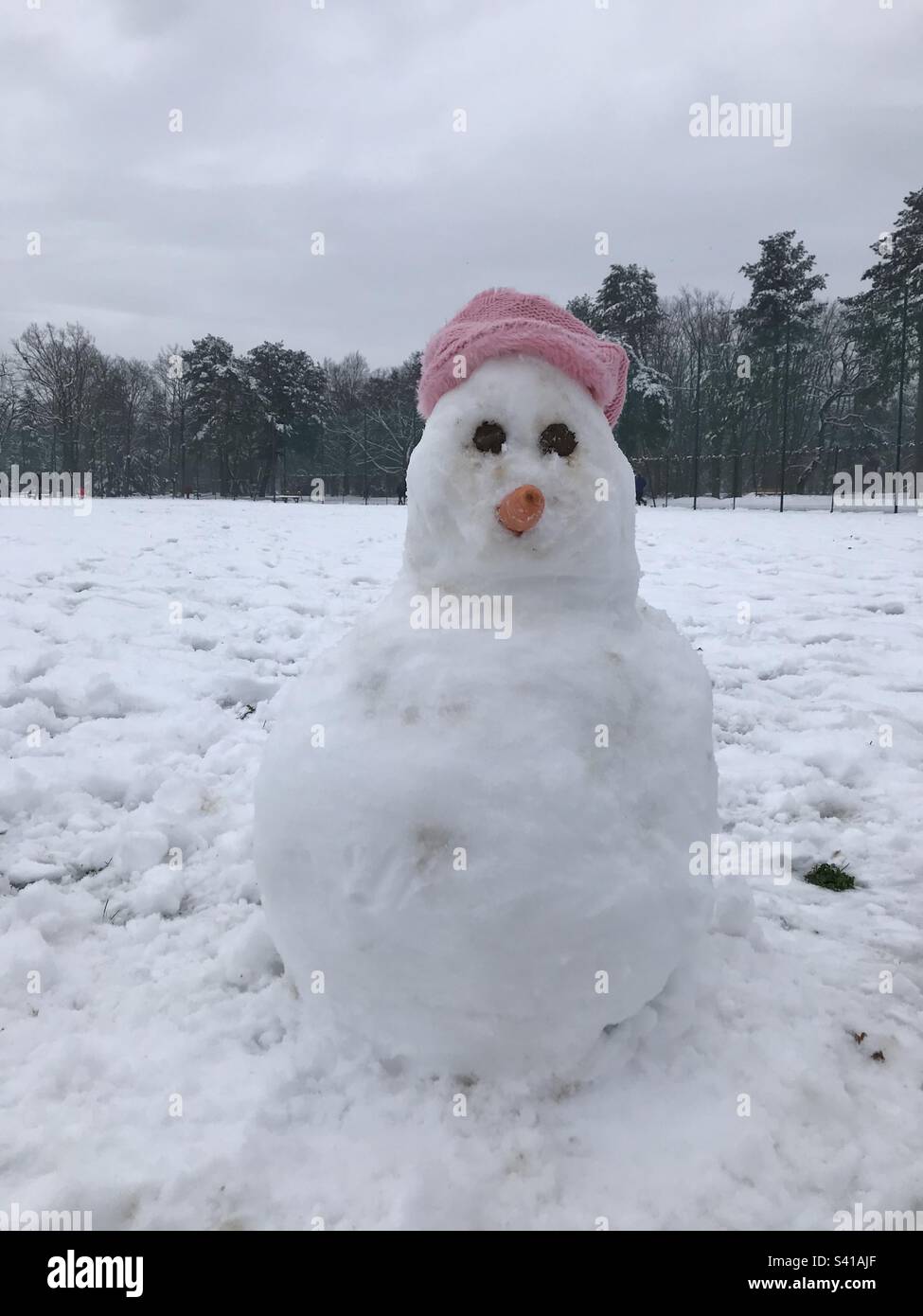 inverno snowman 2019 Foto Stock