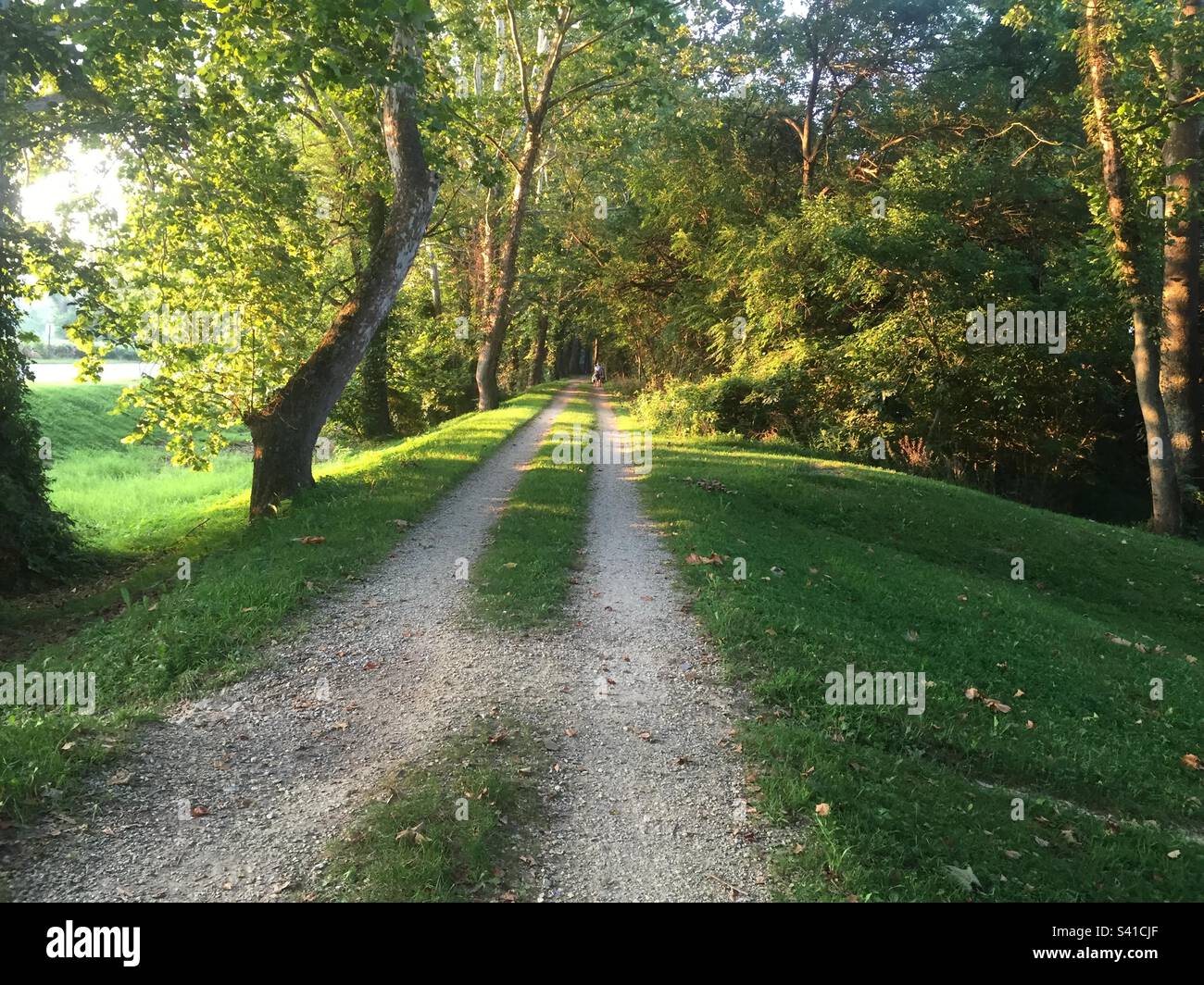 Chesapeake e Ohio Canal National Park vicino a Sharpsburg, Maryland. Foto Stock