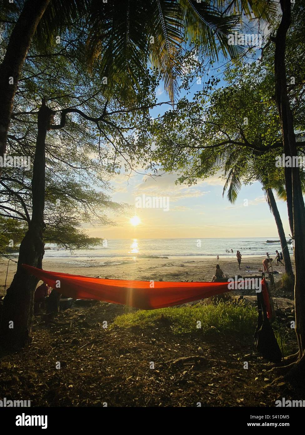 Un'amaca arancione è appesa tra due palme mentre il sole tramonta vicino a Nosara in Costa Rica Foto Stock