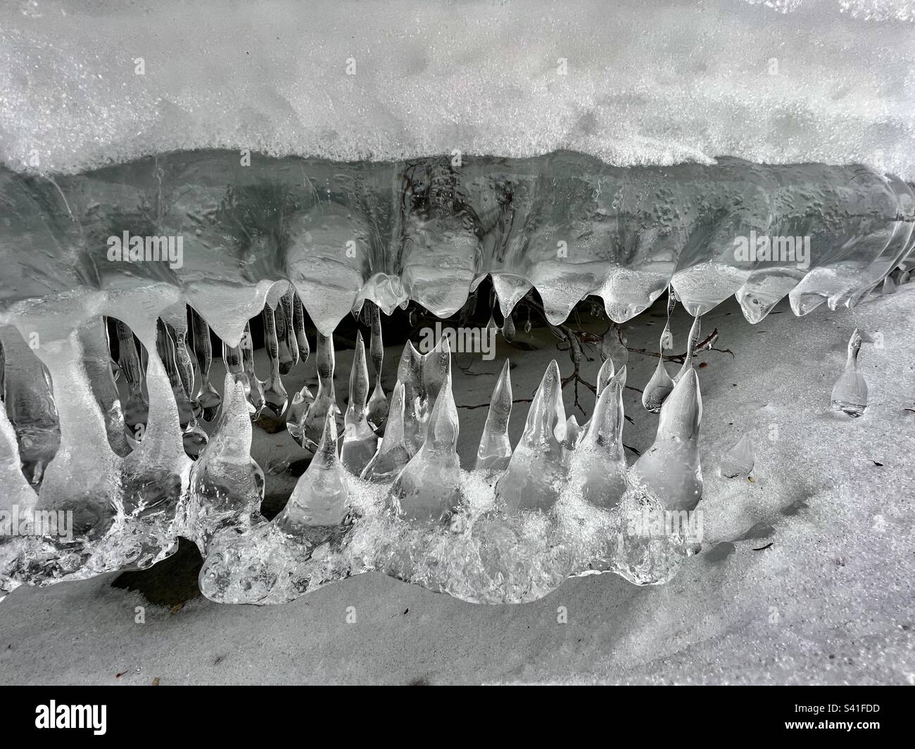 Denti del drago del ghiaccio. Stalagmiti di ghiaccio e - stalattiti che formano denti come sculture di ghiaccio. Primo piano lungo il fiume Yukon a Whitehorse. - Immagine stock catturata con smartphone