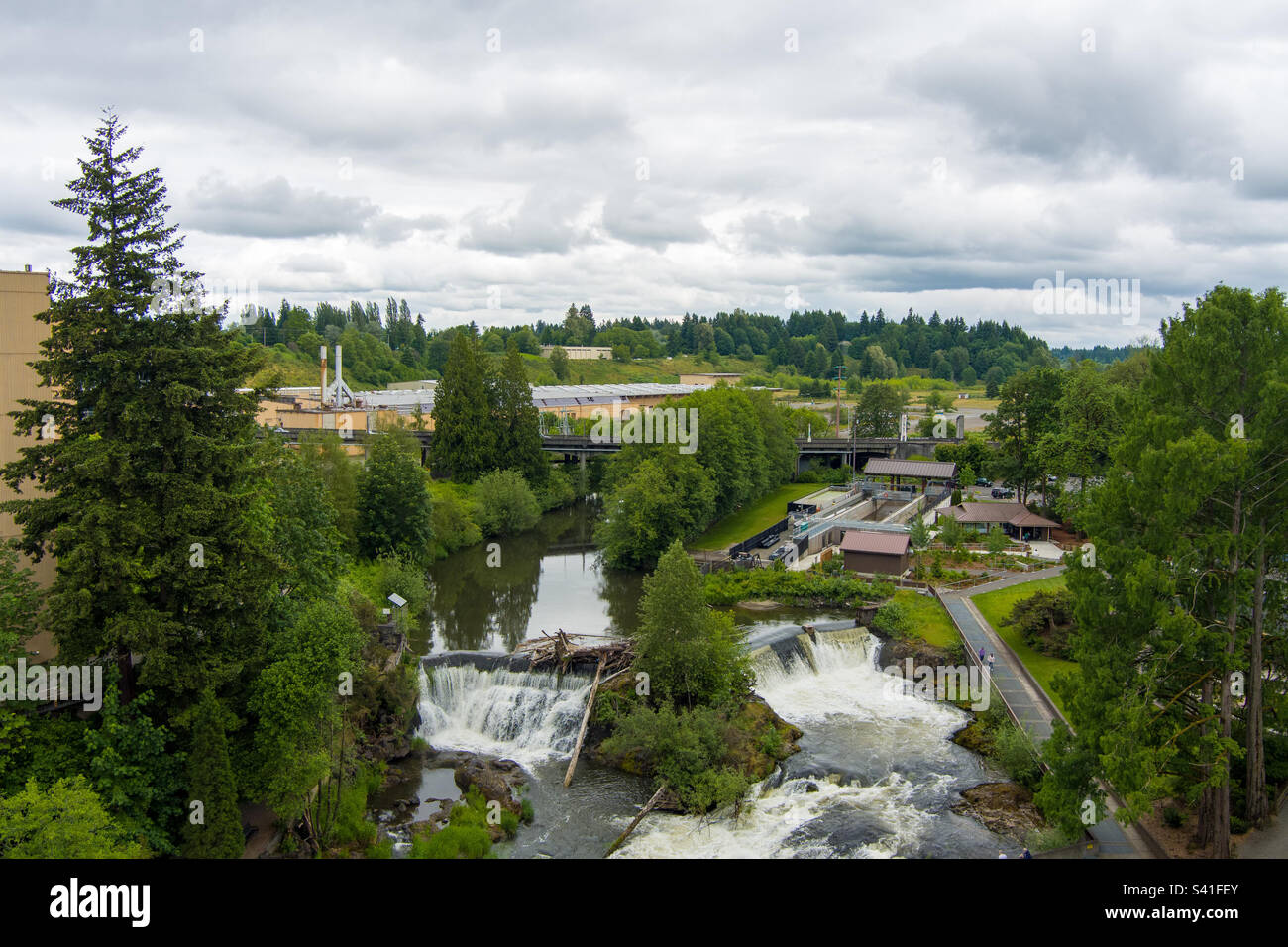 Cascate di Tumwater, Washington - Immagine stock catturata con smartphone