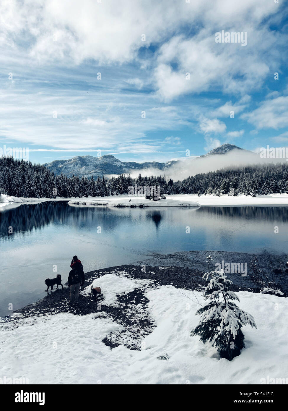 Vista sul passo di Snoqualmie dallo stagno di Gold Creek nelle montagne Cascade con escursionista e cane Foto Stock