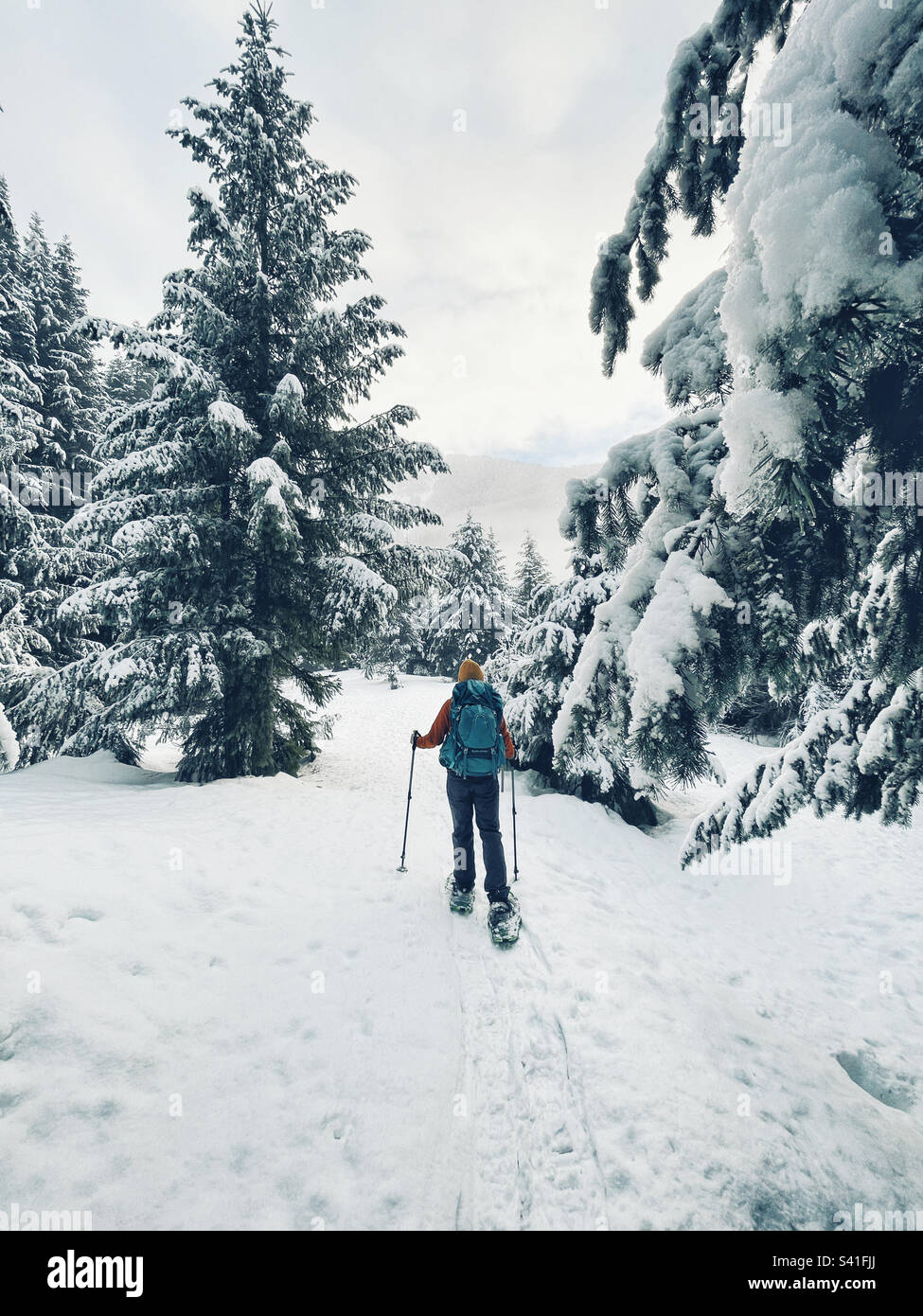 Racchette da neve nel paese delle meraviglie d'inverno Foto Stock