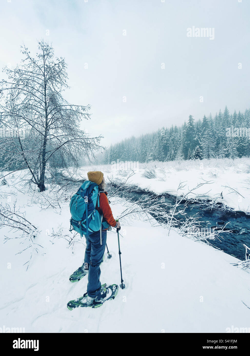 Escursionista con le racchette da neve ammirando la splendida terra delle meraviglie invernali nel pacifico nord-occidentale Foto Stock