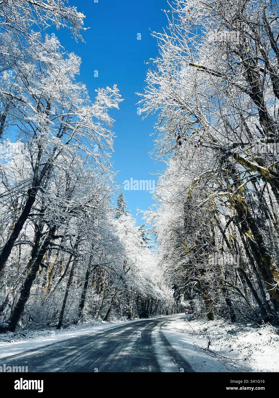 Strada per il paese delle meraviglie invernali Foto Stock