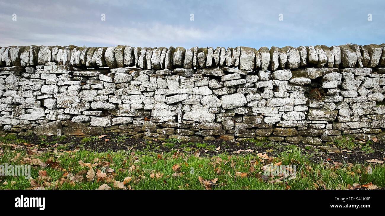 ‘Il muro di confine’ un muro di pietra a secco, dipinto di bianco e il confine per le partite di cricket in estate. Qui, in bassa stagione, le foglie si accumulano e l'erba rimane non tagliata. Foto Stock