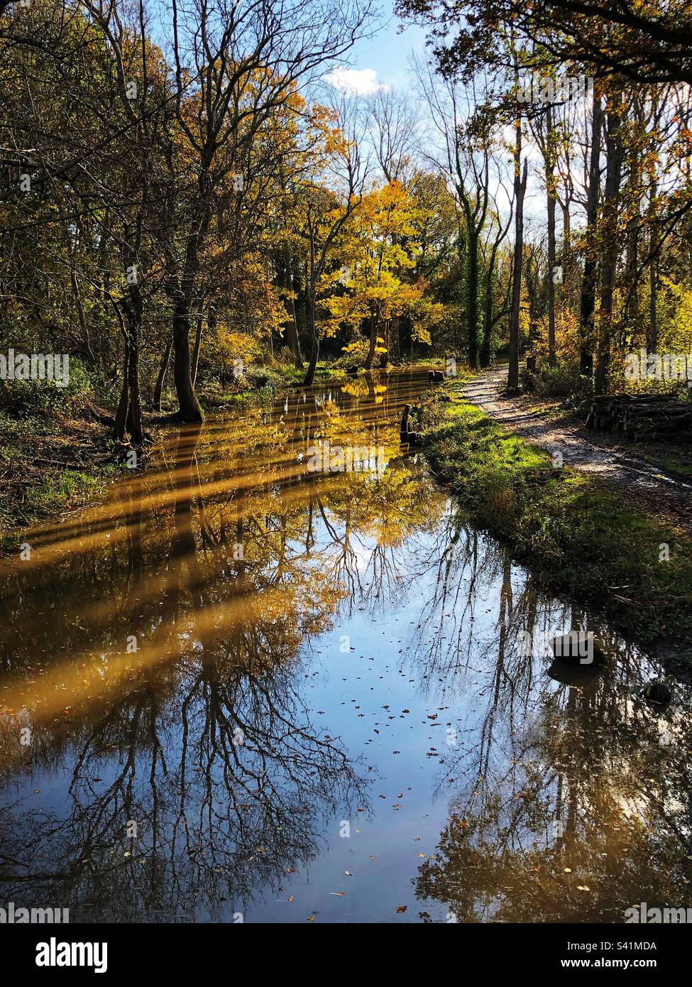 Way e Arun Canal vicino a Loxwood, Sussex occidentale, poco dopo l'alluvione nell'autunno 2022. - Immagine stock catturata con smartphone