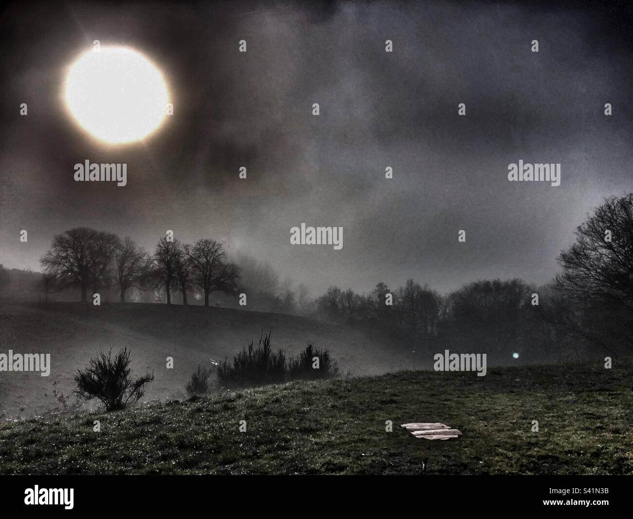Spettacolare immagine del paesaggio in una mattinata mistosa - Immagine stock catturata con smartphone