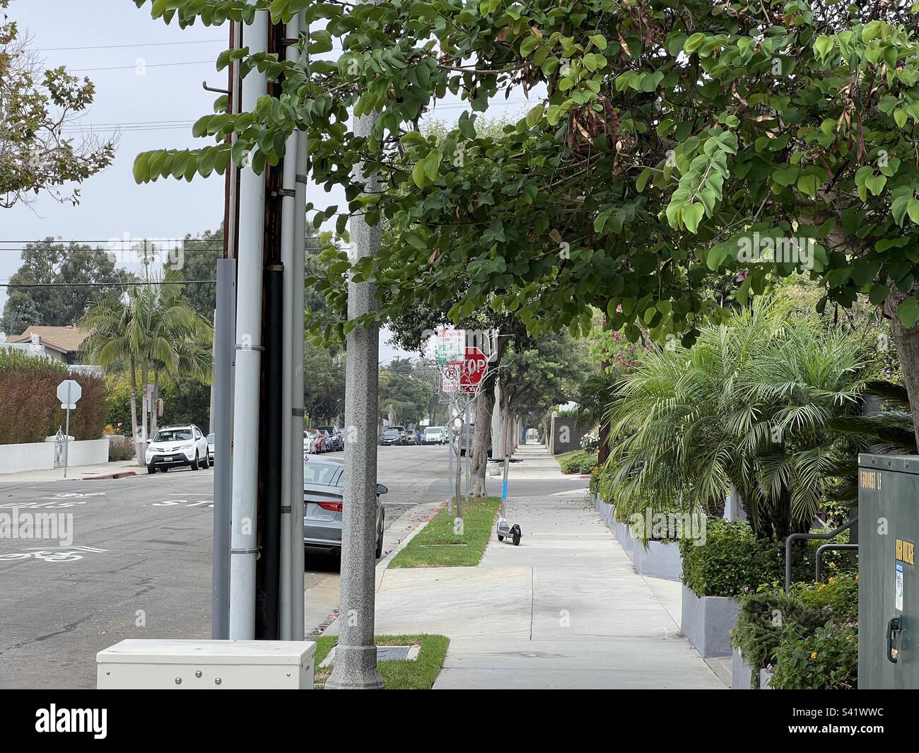 SANTA MONICA, CA, 2022 AGOSTO: Vista del marciapiede lungo una strada tranquilla nel quartiere della comunità della spiaggia Foto Stock
