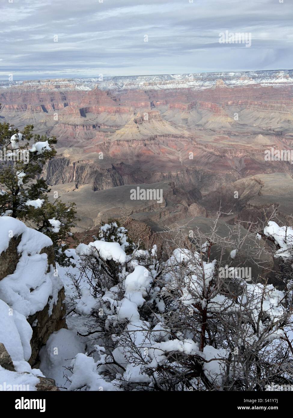 Neve nel Grand Canyon Foto Stock