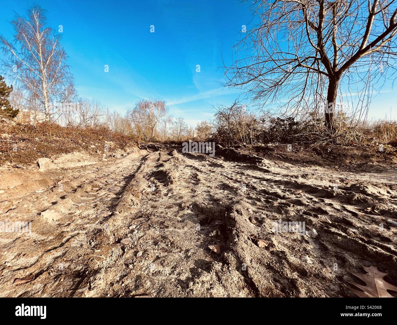 Un deserto grigio in Europa che arriva solo dopo l'inverno Foto Stock