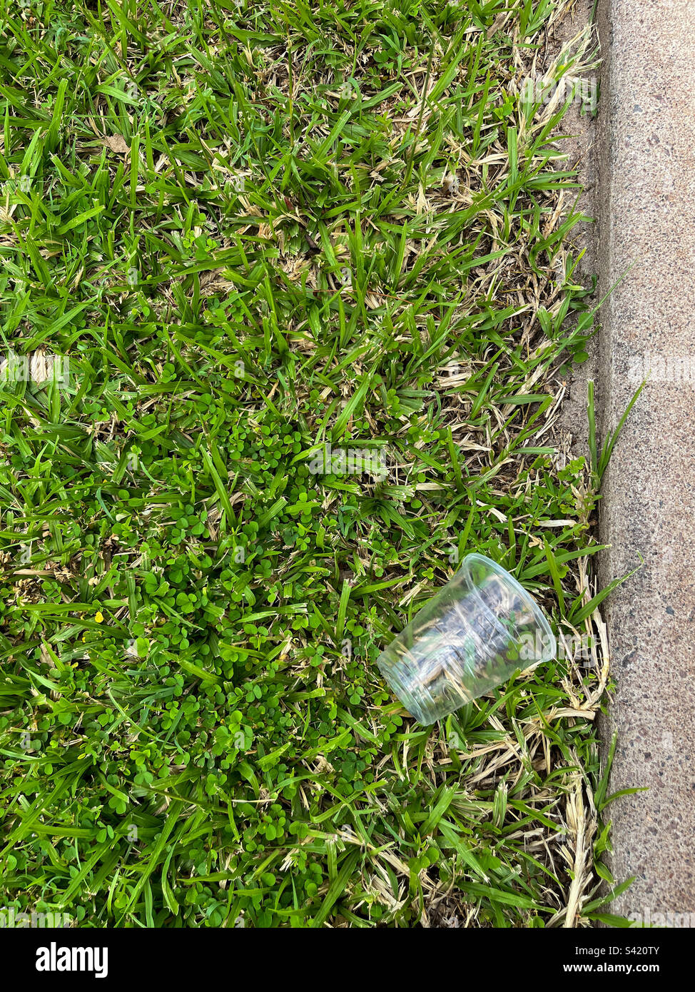 Inquinamento di plastica, tazza di acqua di plastica monouso sul prato - Immagine stock catturata con smartphone