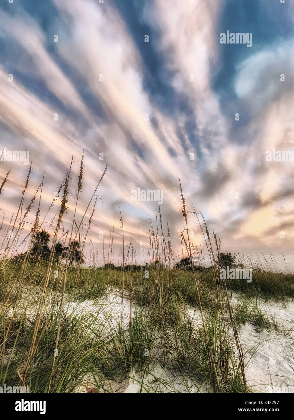 Nuvole estive in Florida Foto Stock