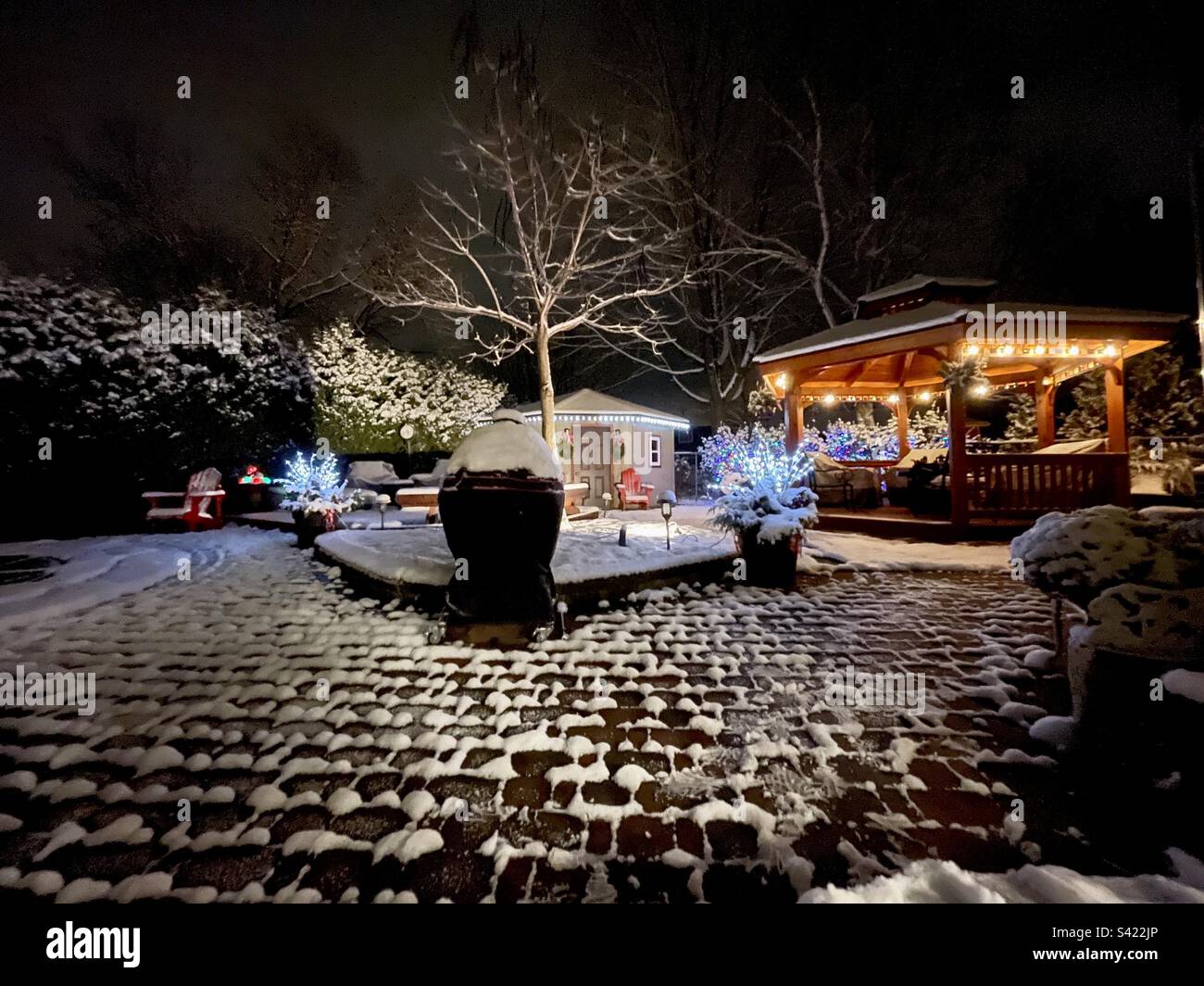 Patio sul retro all'inizio dell'inverno, guardando verso un albero giovane, una siepe di cedro e un gazebo. Foto Stock