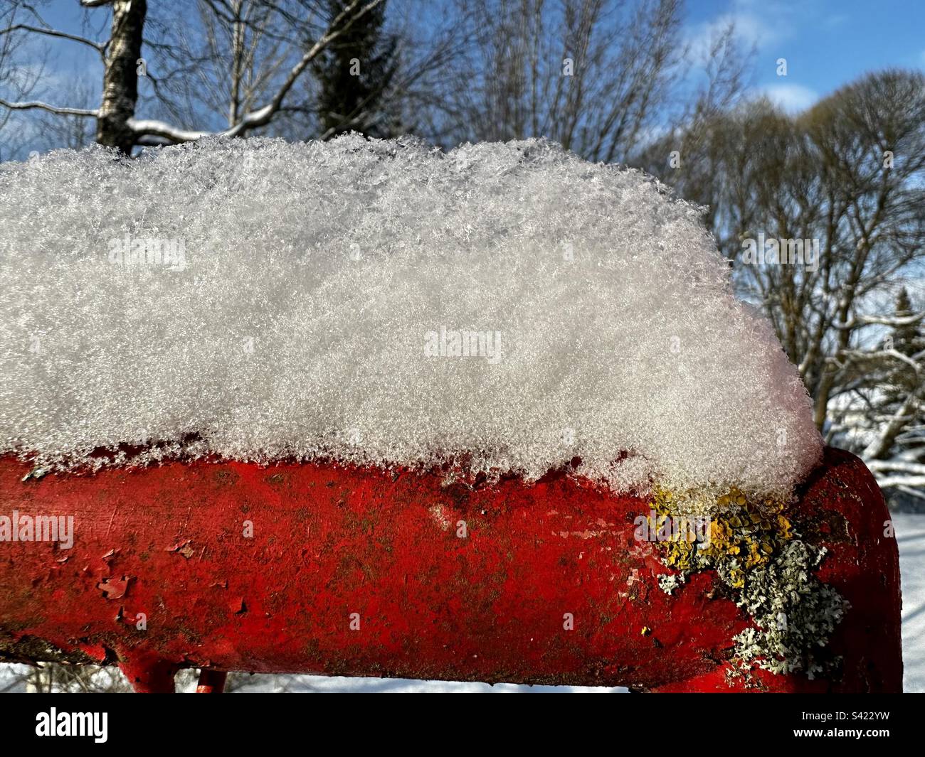 Neve fresca in inverno Foto Stock