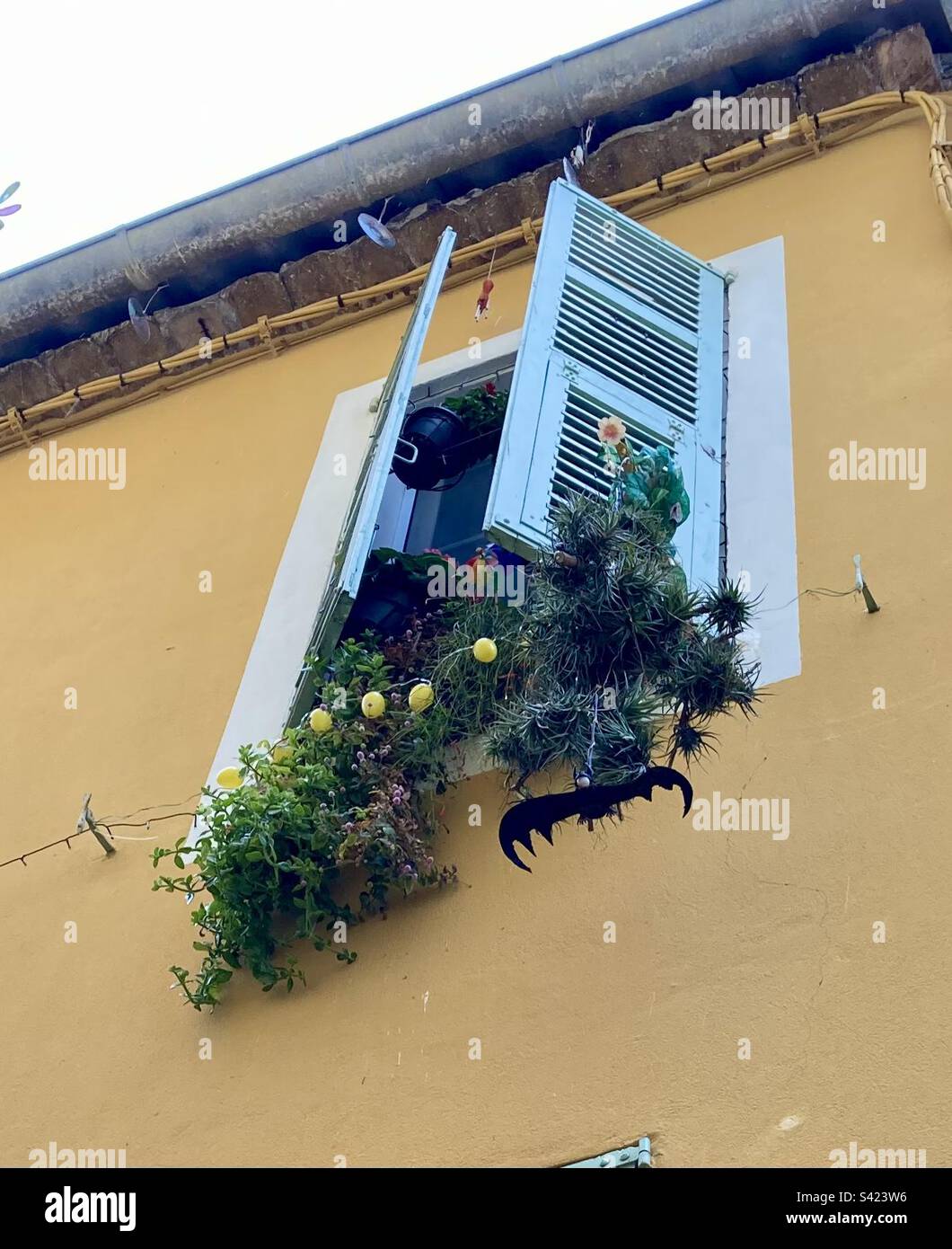 Un pipistrello di gomma è appeso a una scatola di piante a Nizza, in Francia. - Immagine stock catturata con smartphone