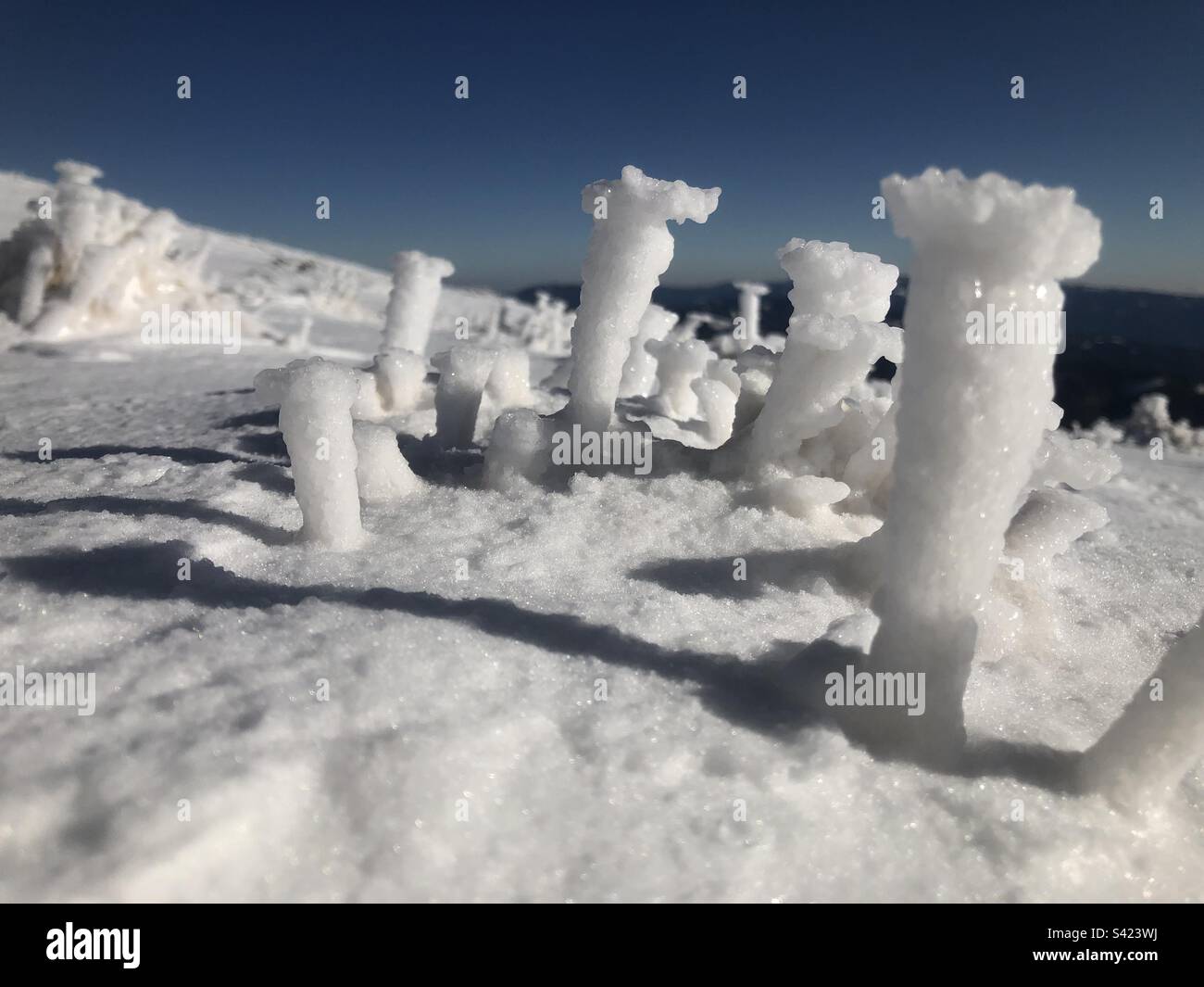 Fiori di ghiaccio dopo la tempesta, Hohe Veitsch, Stiria, Austria - Immagine stock catturata con smartphone