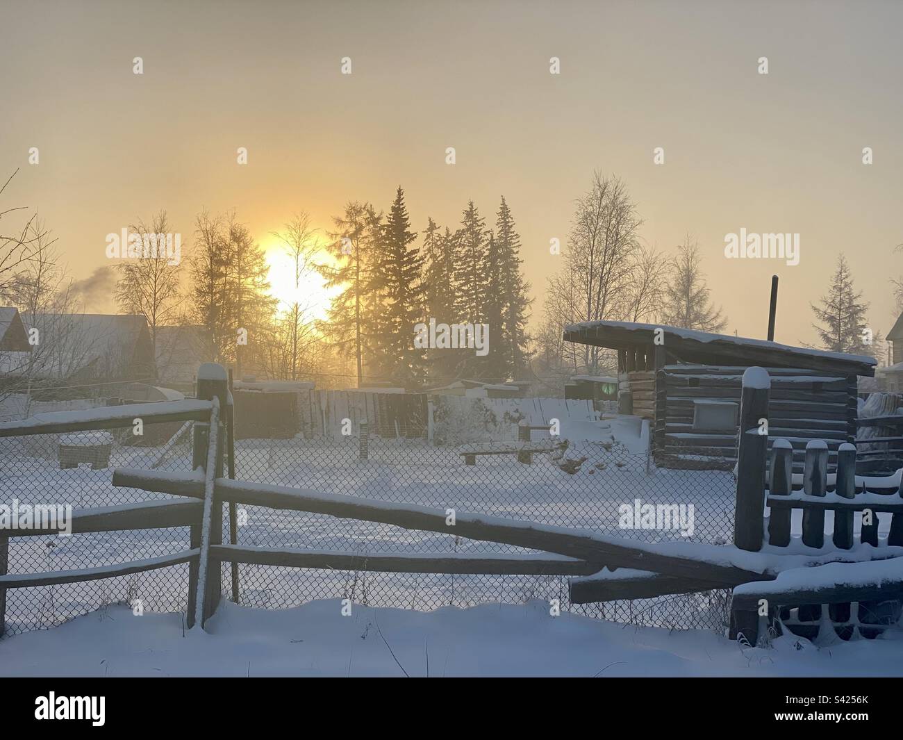 Tramonto in una giornata gelida in inverno dietro gli alberi recinzione e capannoni di cottage privati nel villaggio di Yakutia. - Immagine stock catturata con smartphone Tramonto in una giornata gelida in inverno dietro gli alberi recinzione e capannoni di cottage privati nel villaggio di Yakutia. - Immagine stock catturata con smartphone