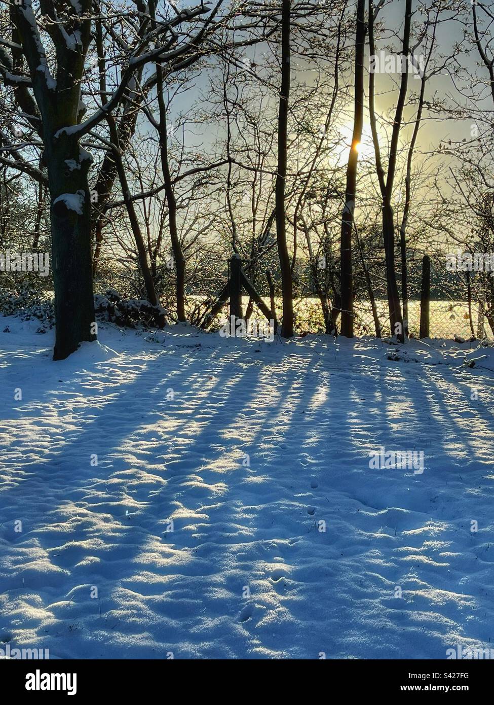 Il sole invernale - Immagine stock catturata con smartphone