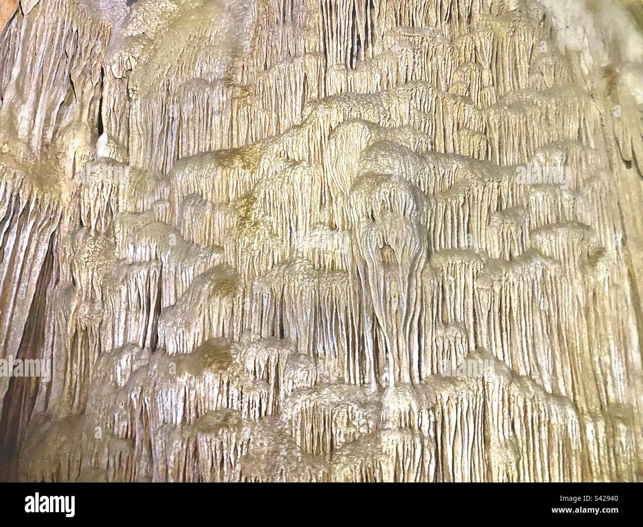 Incredibili stalattiti all'interno della caverna a Caves Branch River, Belize Foto Stock