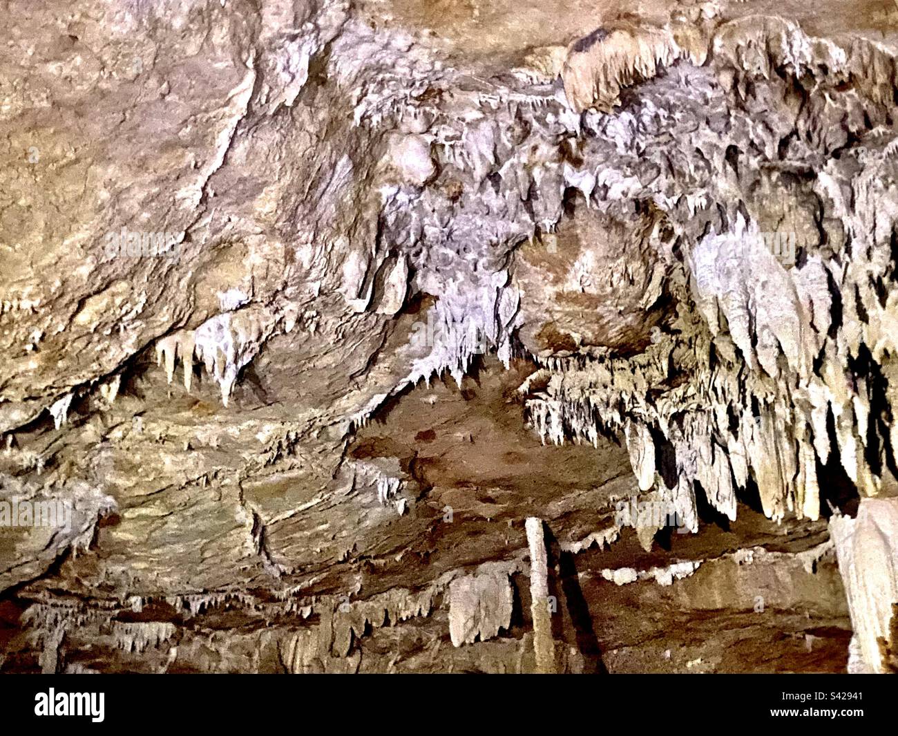 Stalattiti in cima alla caverna, Caves Branch River, Belize Foto Stock