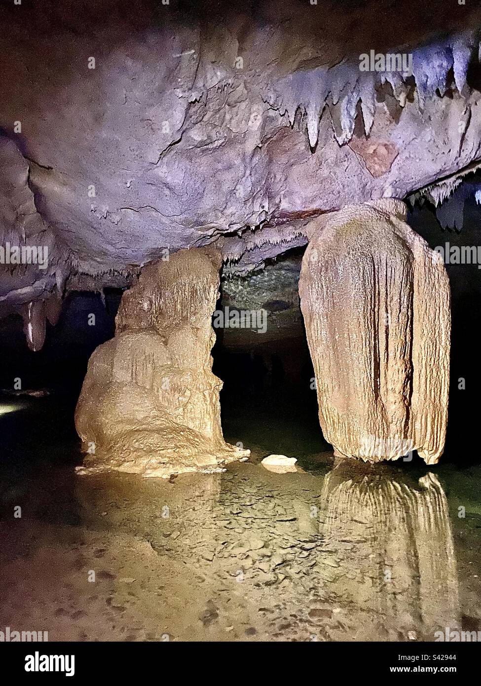 Bella formazione di calcare all'interno della caverna a Caves Branch River, Belize Foto Stock