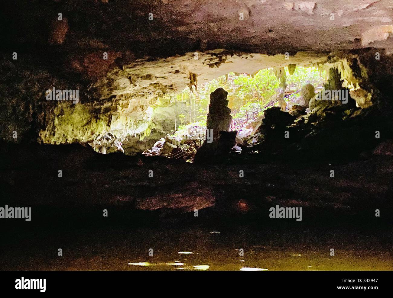 Guardando fuori attraverso un'apertura in caverna a Caves Branch River, Belize Foto Stock