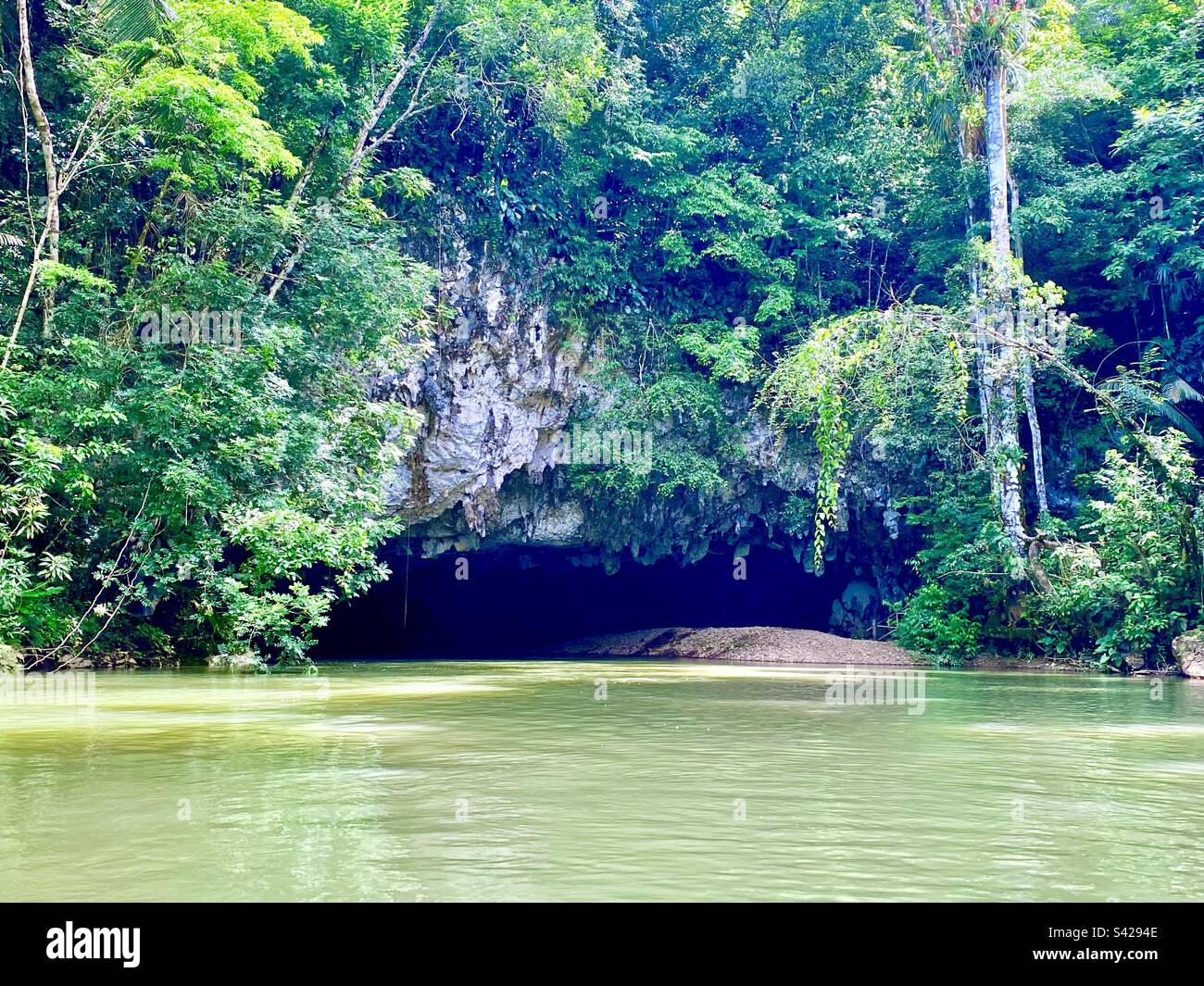 Grotte Branch River, Belize Foto Stock