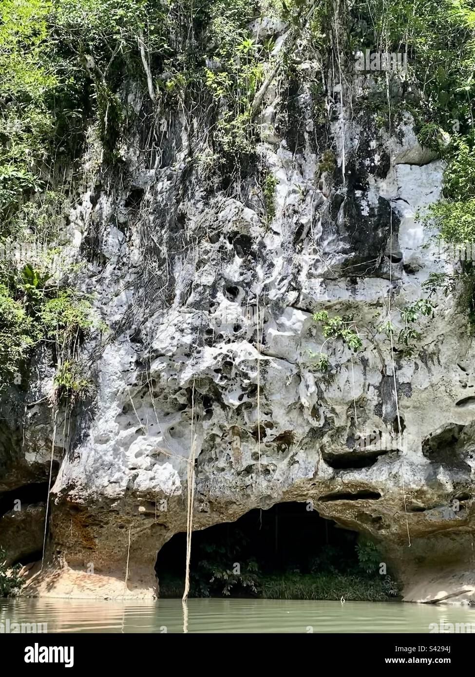 Bella formazione grotta, Caves Branch River, Belize Foto Stock