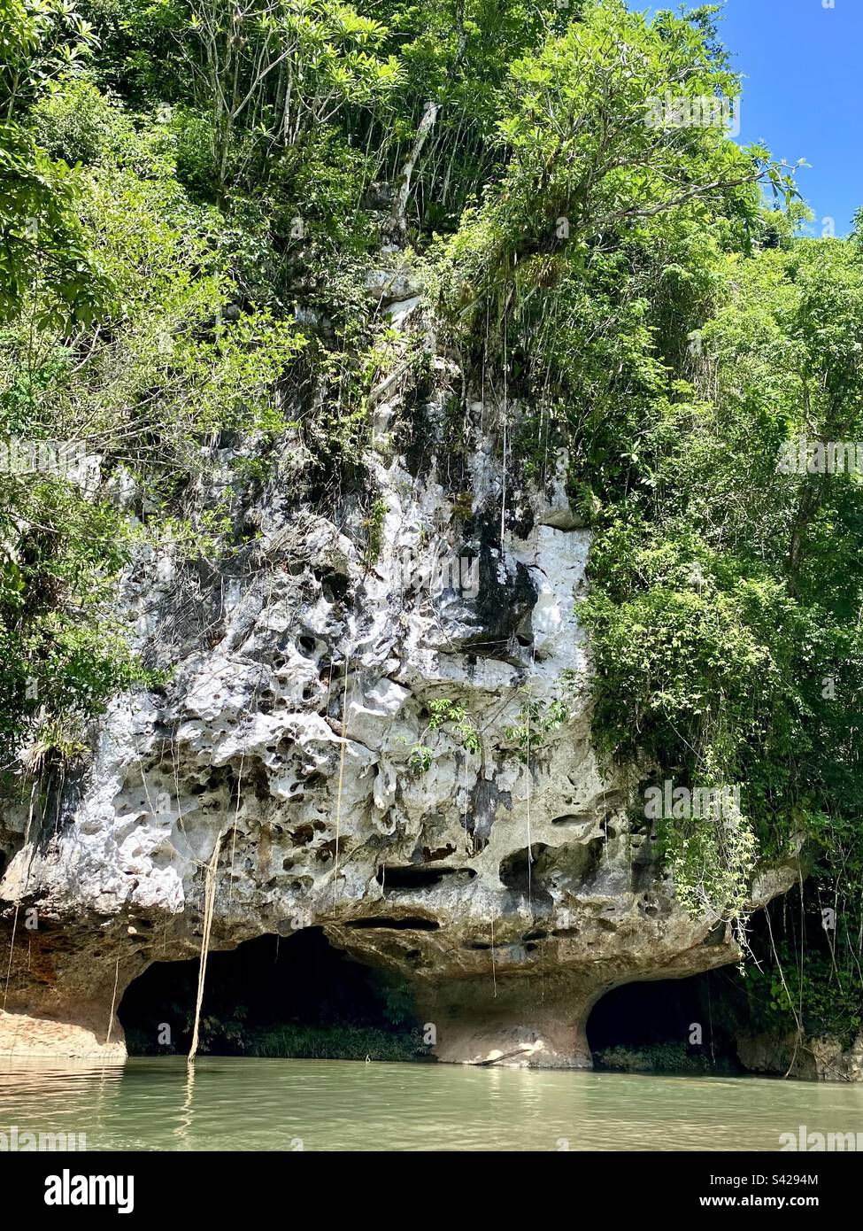 Incredibile formazione di grotte e rocce sul fiume Caves Branch, Belize Foto Stock