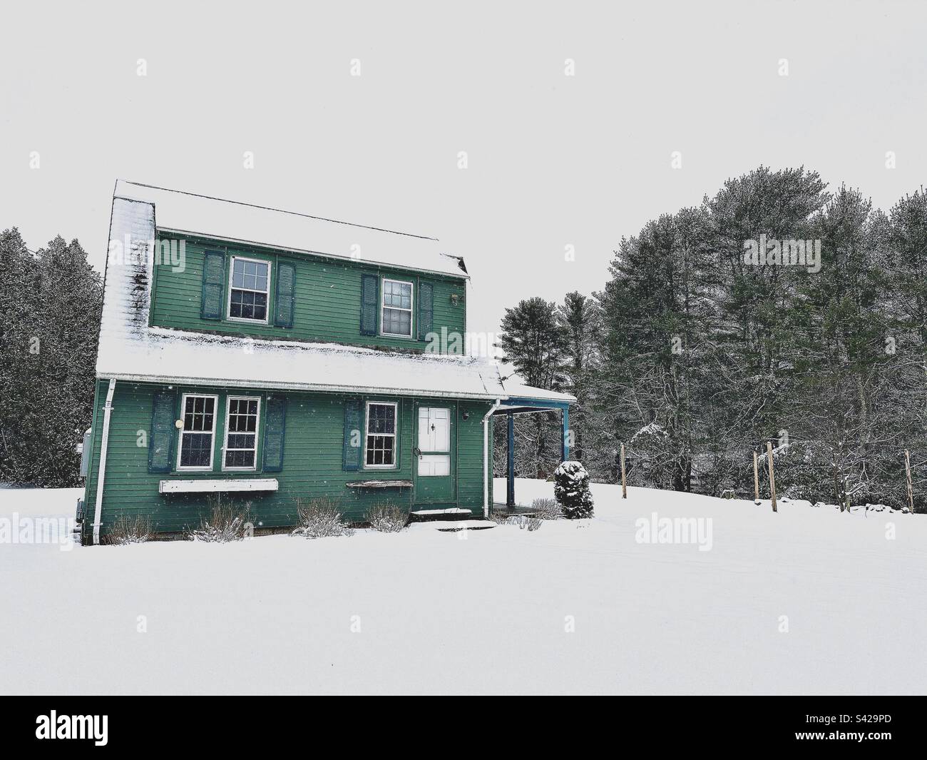 Casa verde coperta di neve dopo la recente tempesta di neve a East Lyme, Connecticut, USA. Alberi sullo sfondo. Foto Stock