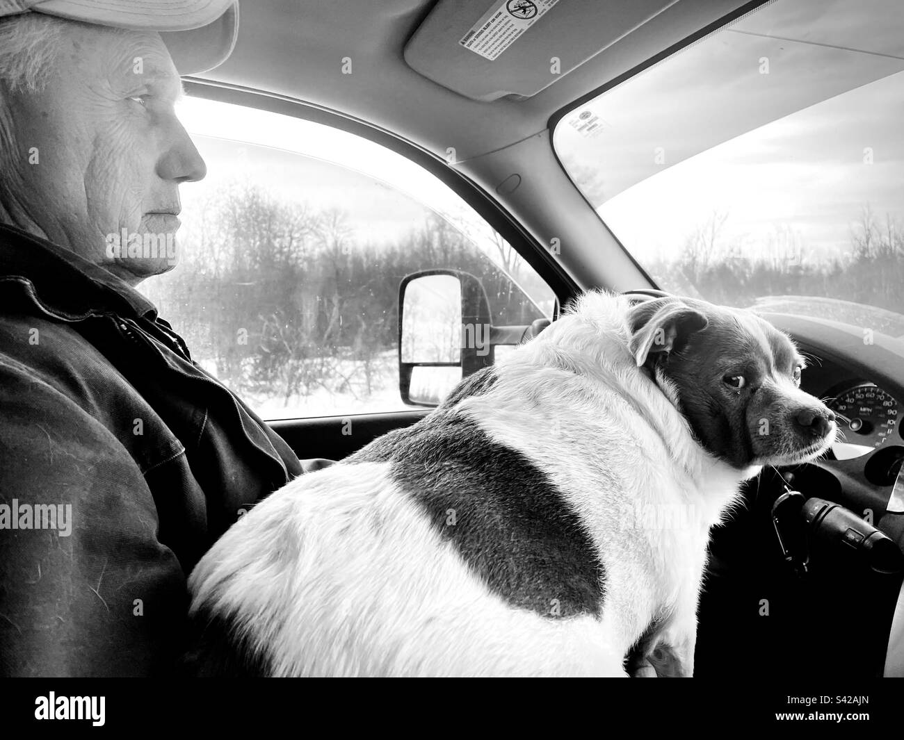L'uomo e il suo cane su un camion Foto Stock