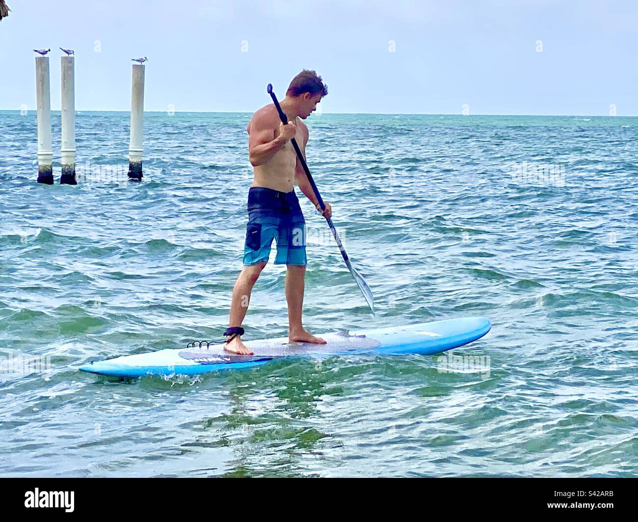 Giovane uomo in forma stand-up paddle boarding sull'Oceano Atlantico al largo della costa di Hopkins, Belize Foto Stock