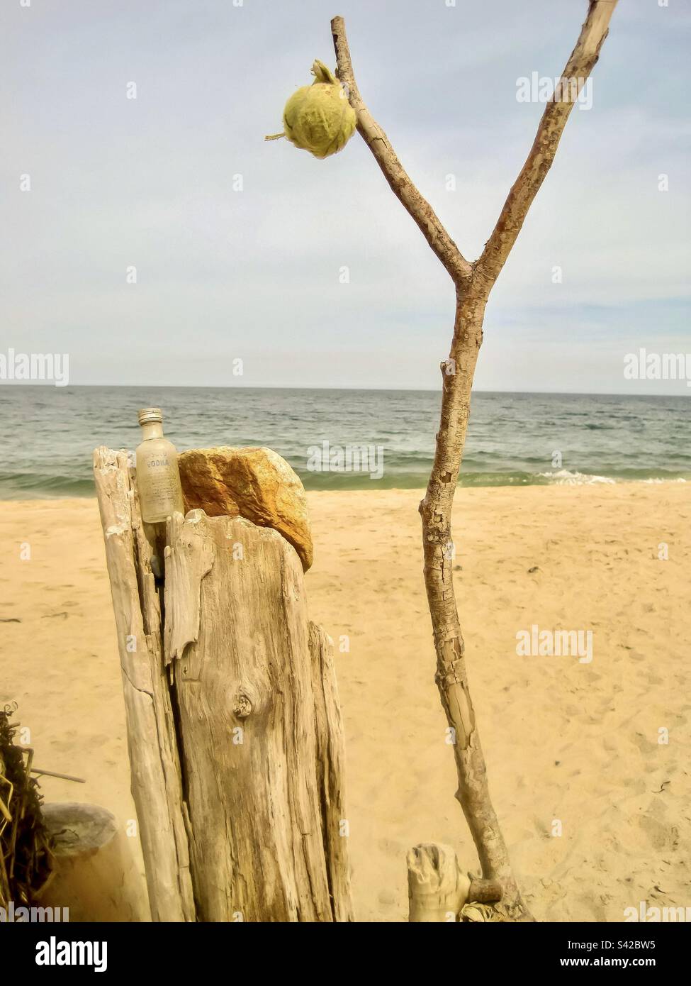 Arte da spiaggia con legno di drift e rifiuti. Foto Stock