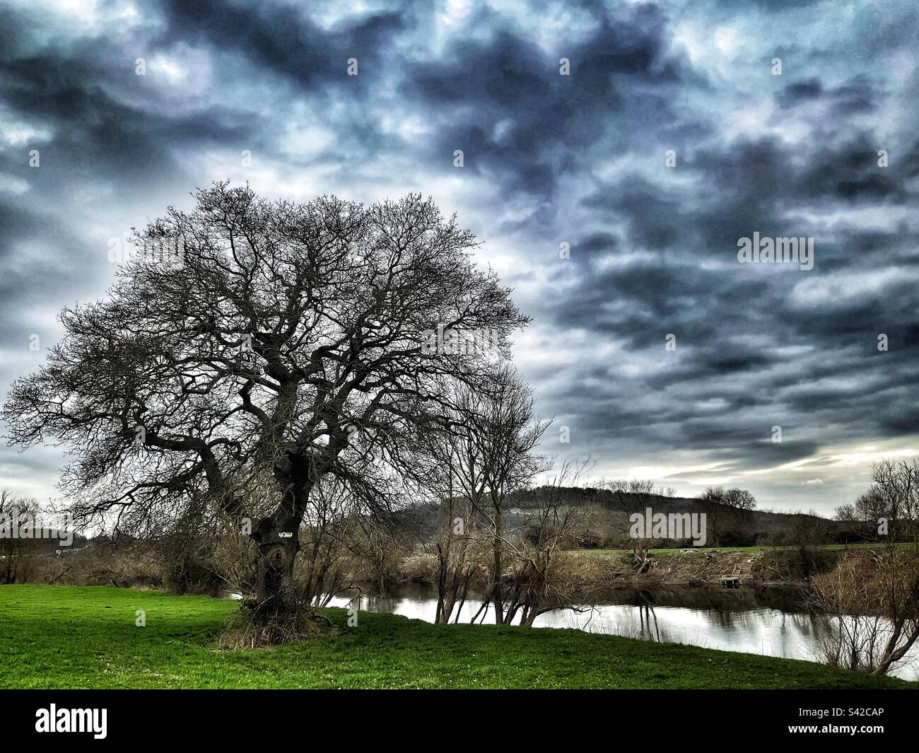 Nuvole d'inverno e l'albero vicino al fiume Severn Foto Stock